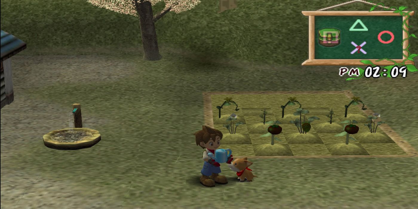 The player holding a watering can in front of some crops in Harvest Moon: A Wonderful Life.