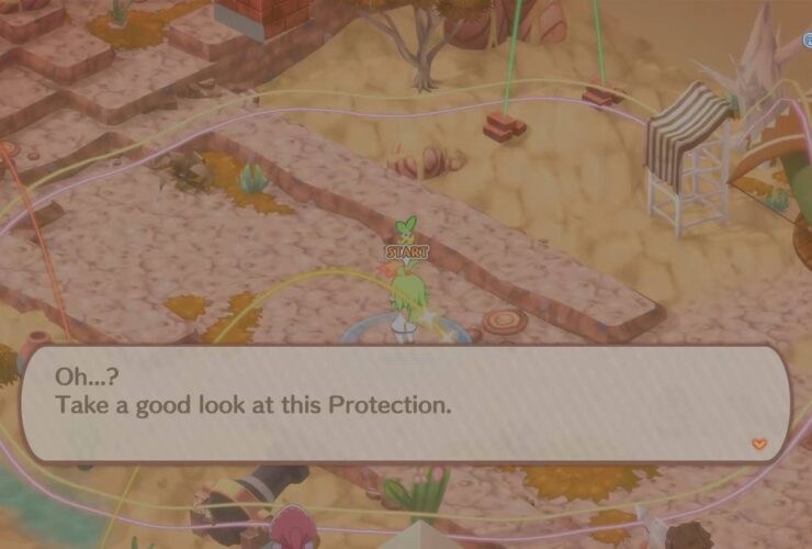 How Protection Effects Work in Phantom Brave: The Lost Hero