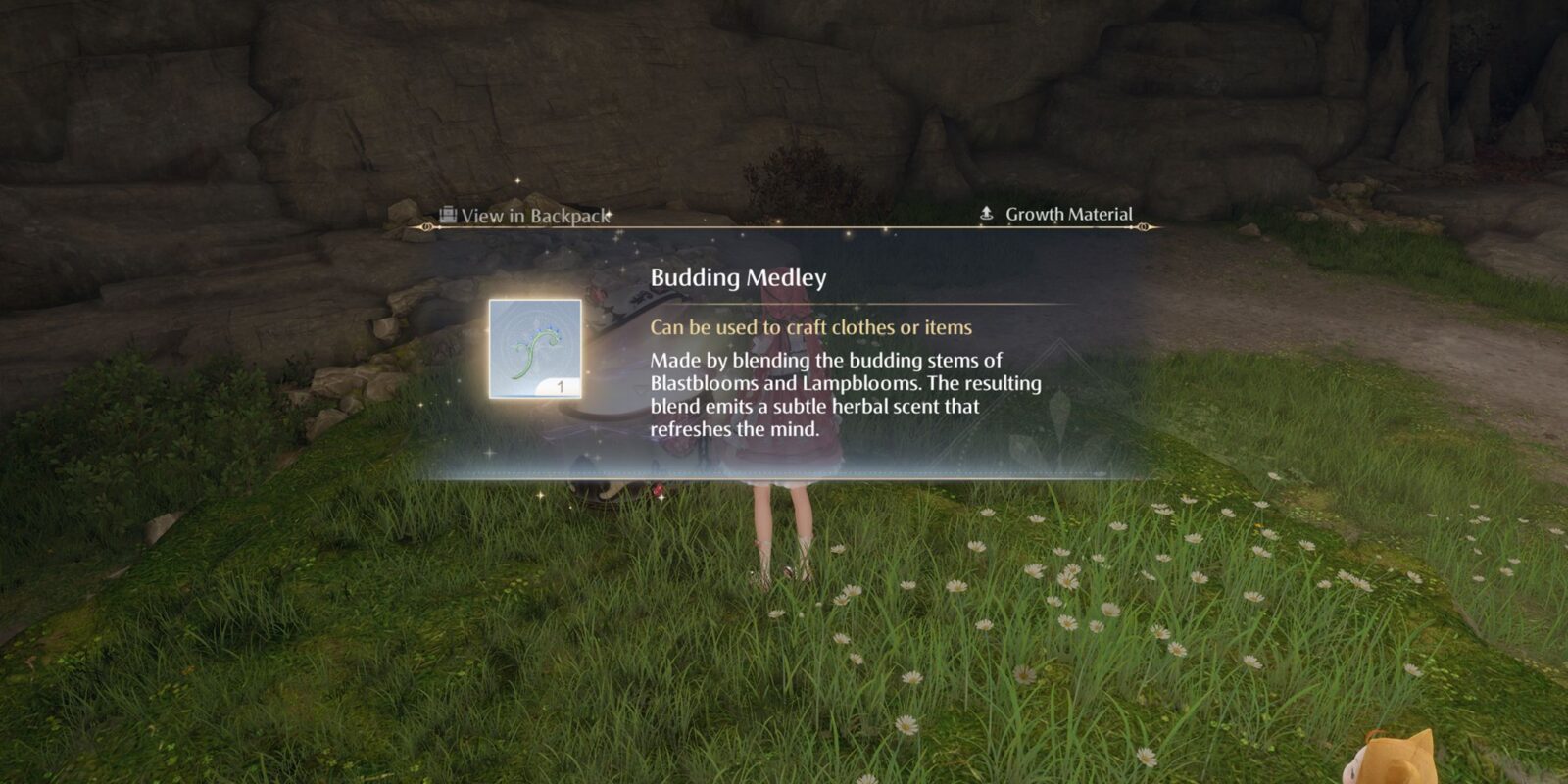 How To Get Budding Medley (Light of Dawn) In Infinity Nikki