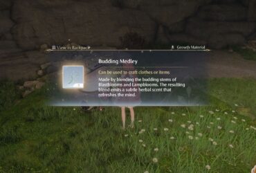 How To Get Budding Medley (Light of Dawn) In Infinity Nikki