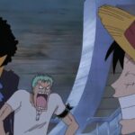 The Straw Hat with the Most Mental Discipline Isn't Zoro or Luffy