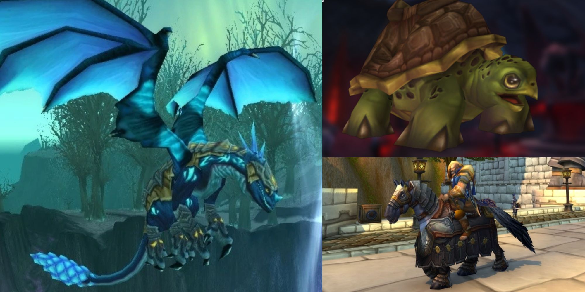 title split image turtle argent charger azure drake wotlk mounts