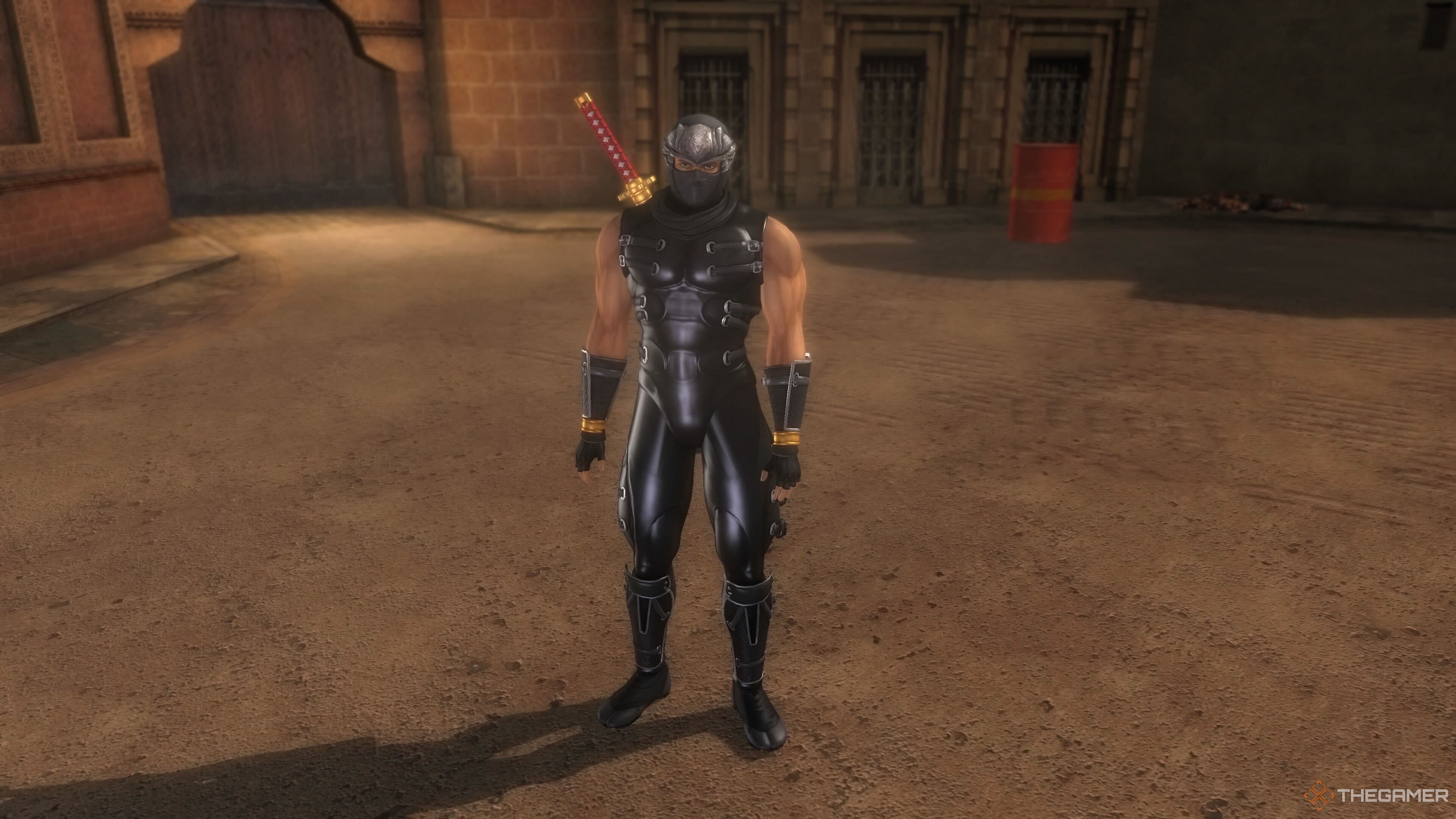 Ryu kind of just standing around in Ninja Gaiden Black.