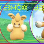 How to Evolve Pawmi in Pokemon Scarlet & Violet