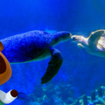 Animal Crossing collaboration coming to Sea Life aquariums across the UK