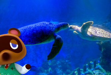 Animal Crossing collaboration coming to Sea Life aquariums across the UK