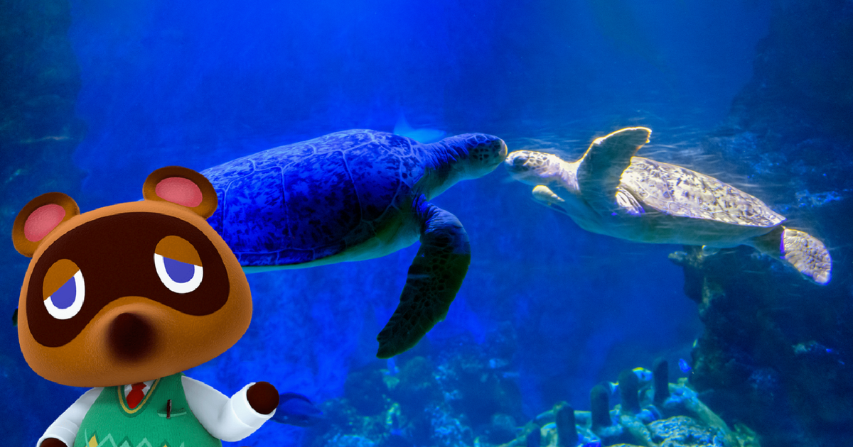 Animal Crossing collaboration coming to Sea Life aquariums across the UK