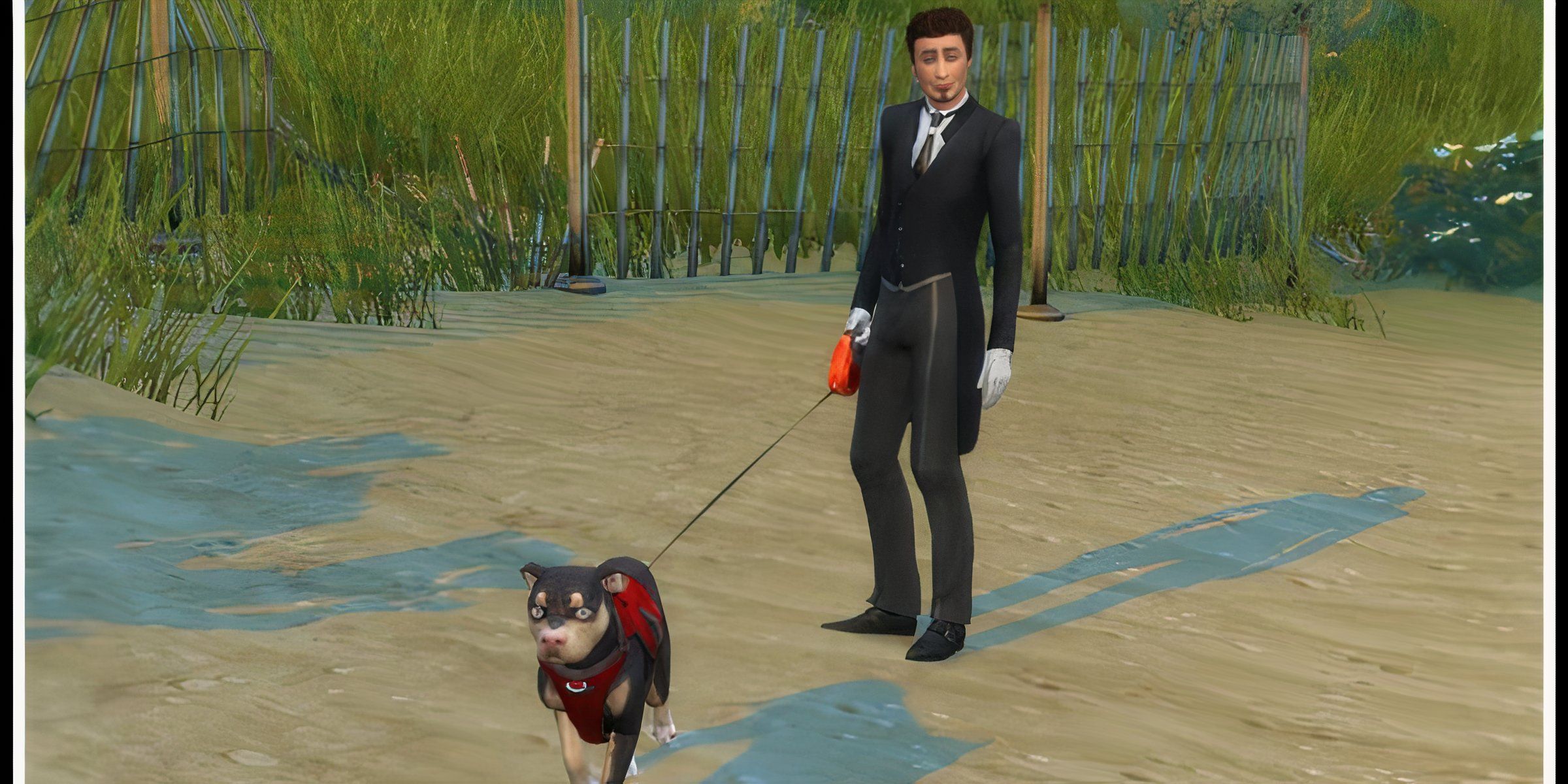 The Dog Walker And Dog Jogger mod