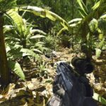 Crytek went so overboard on the Crysis tech and sent devs to photograph leaves in Haiti