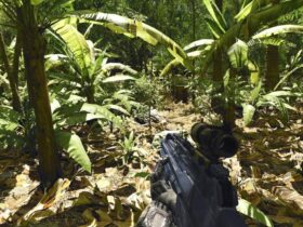 Crytek went so overboard on the Crysis tech and sent devs to photograph leaves in Haiti