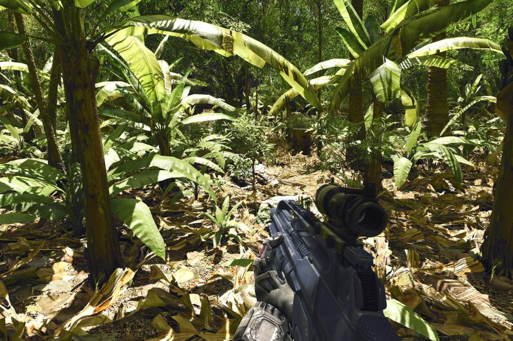 Crytek went so overboard on the Crysis tech and sent devs to photograph leaves in Haiti