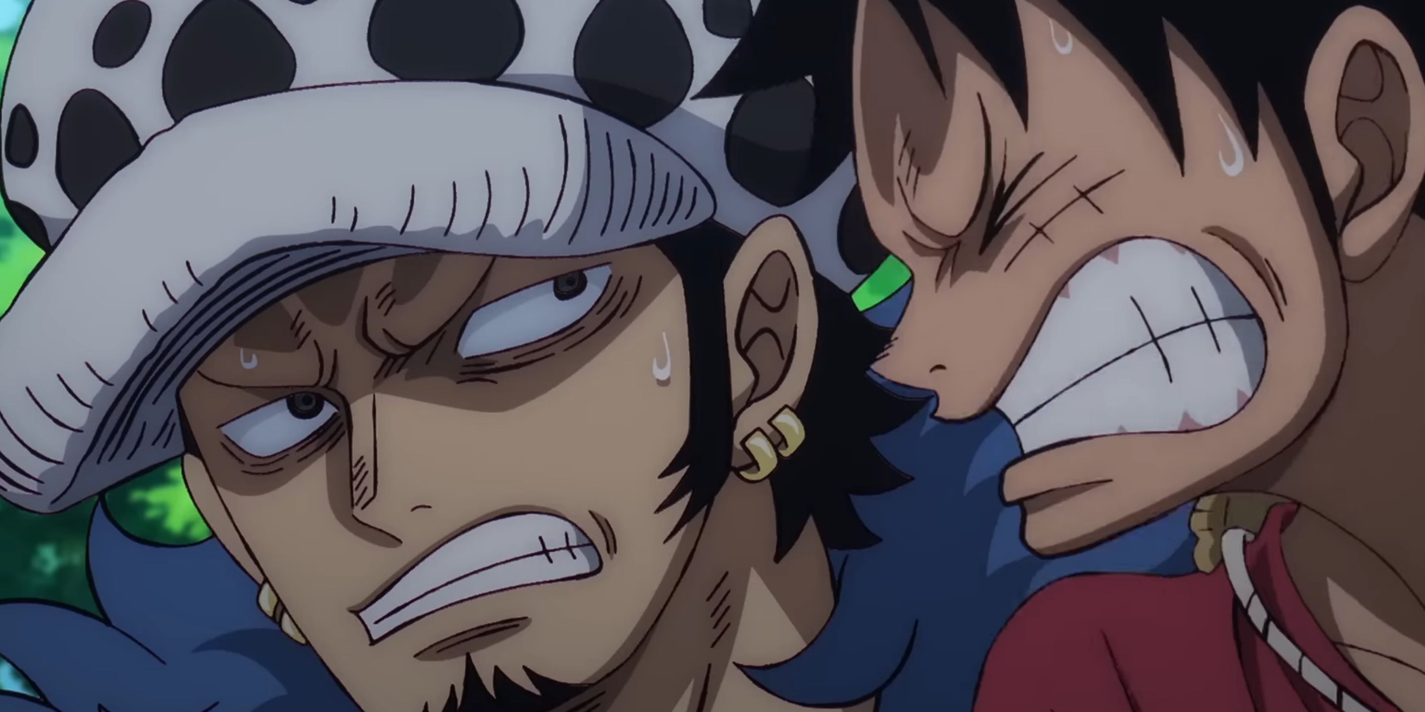 trafalgar law and luffy