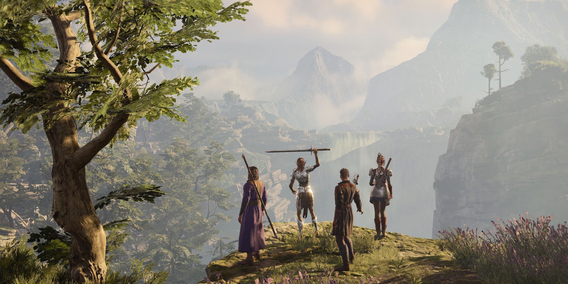 The party members looking out over a grassy hilltop to mountains in the distance in Baldur's Gate 3.