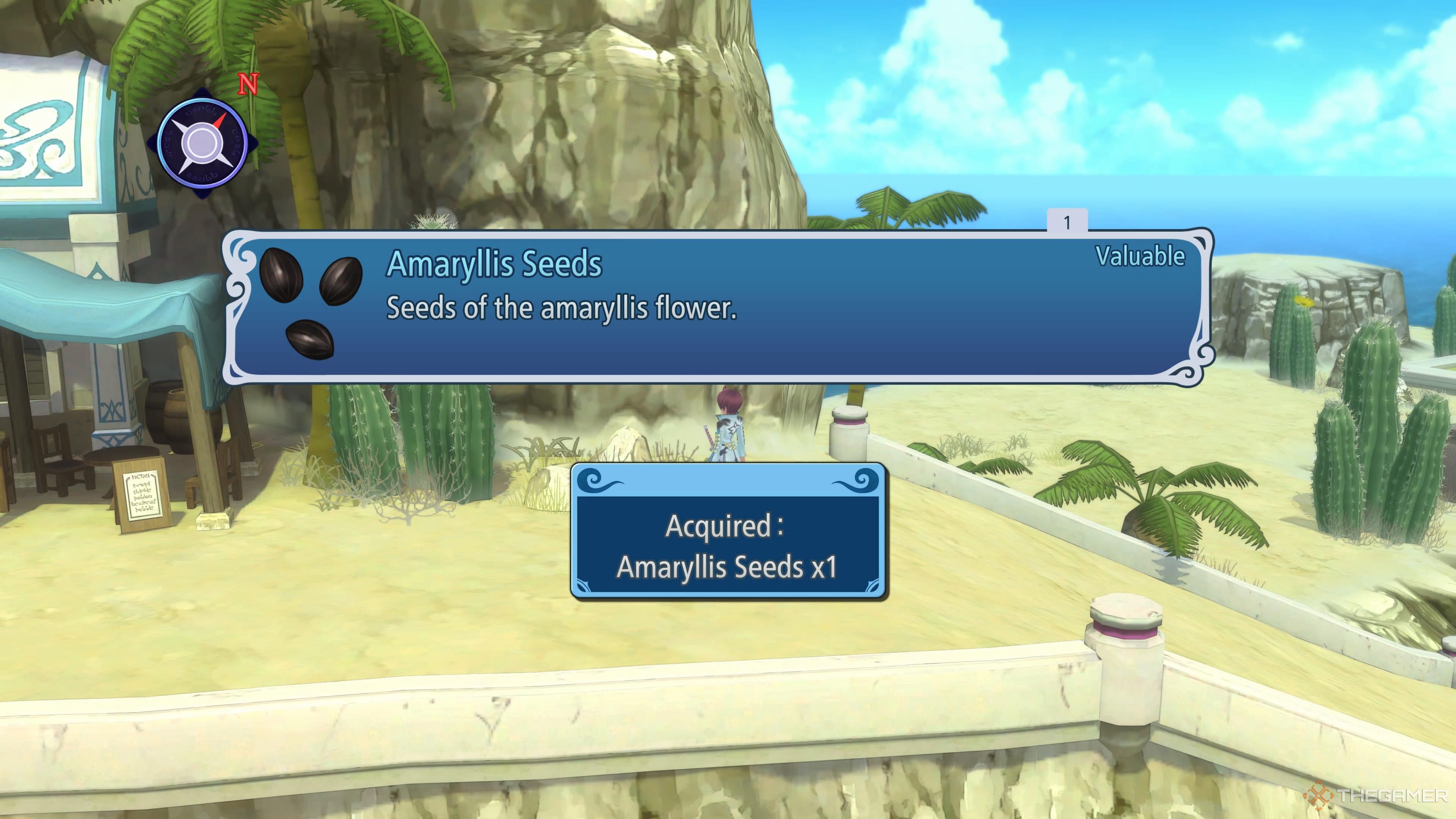 Amaryllis Seeds in Tales of Graces f Remastered