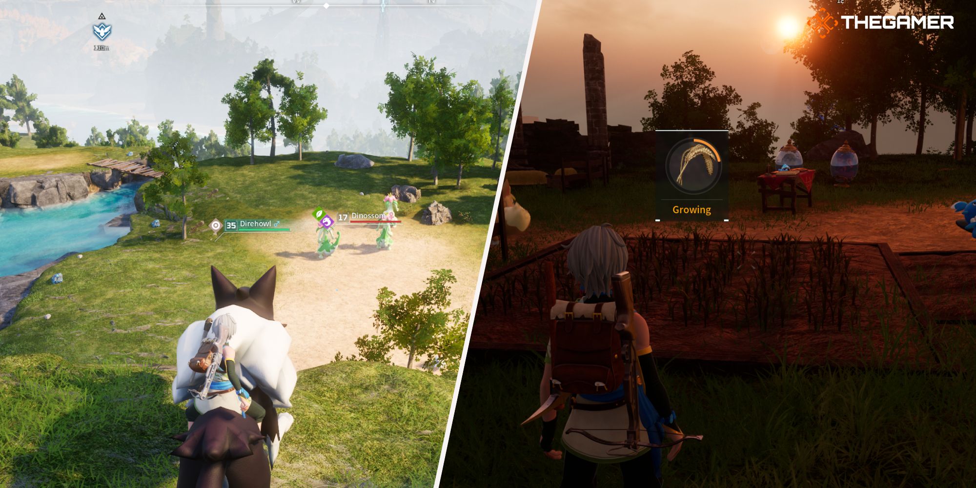 Left: Player riding a Direhowl overlooking a bunch of Dinossomss - Right: Player looking at the growing wheat farm Palworld