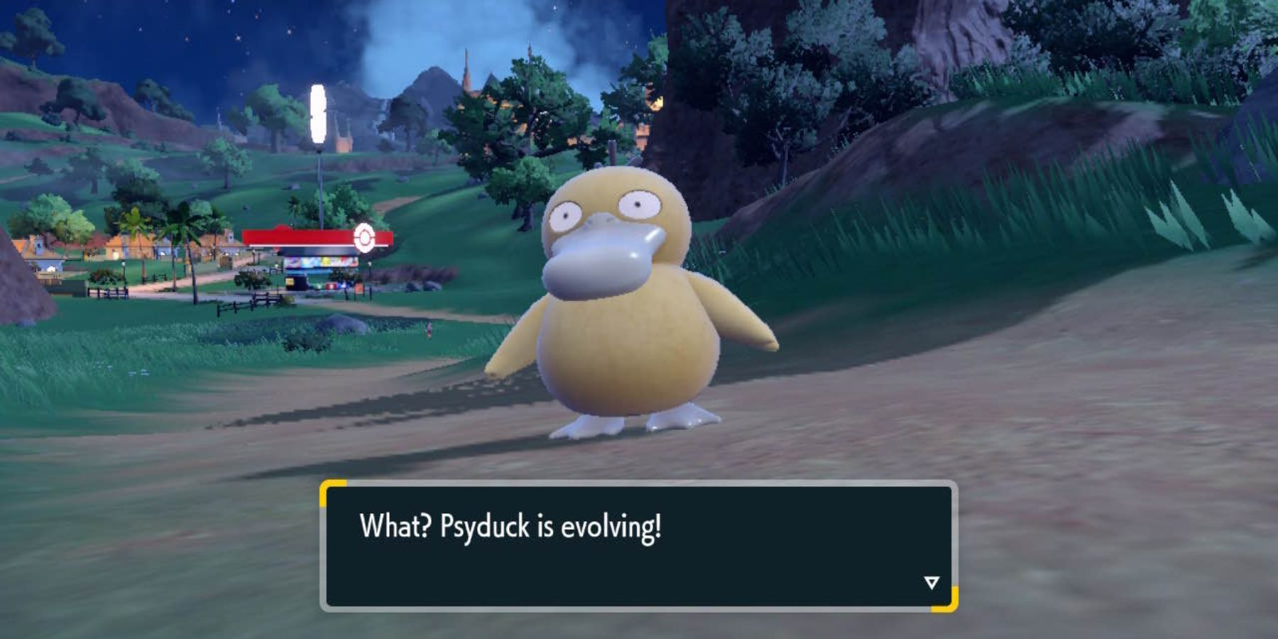 pokemon scarlet and violet psyduck evolve