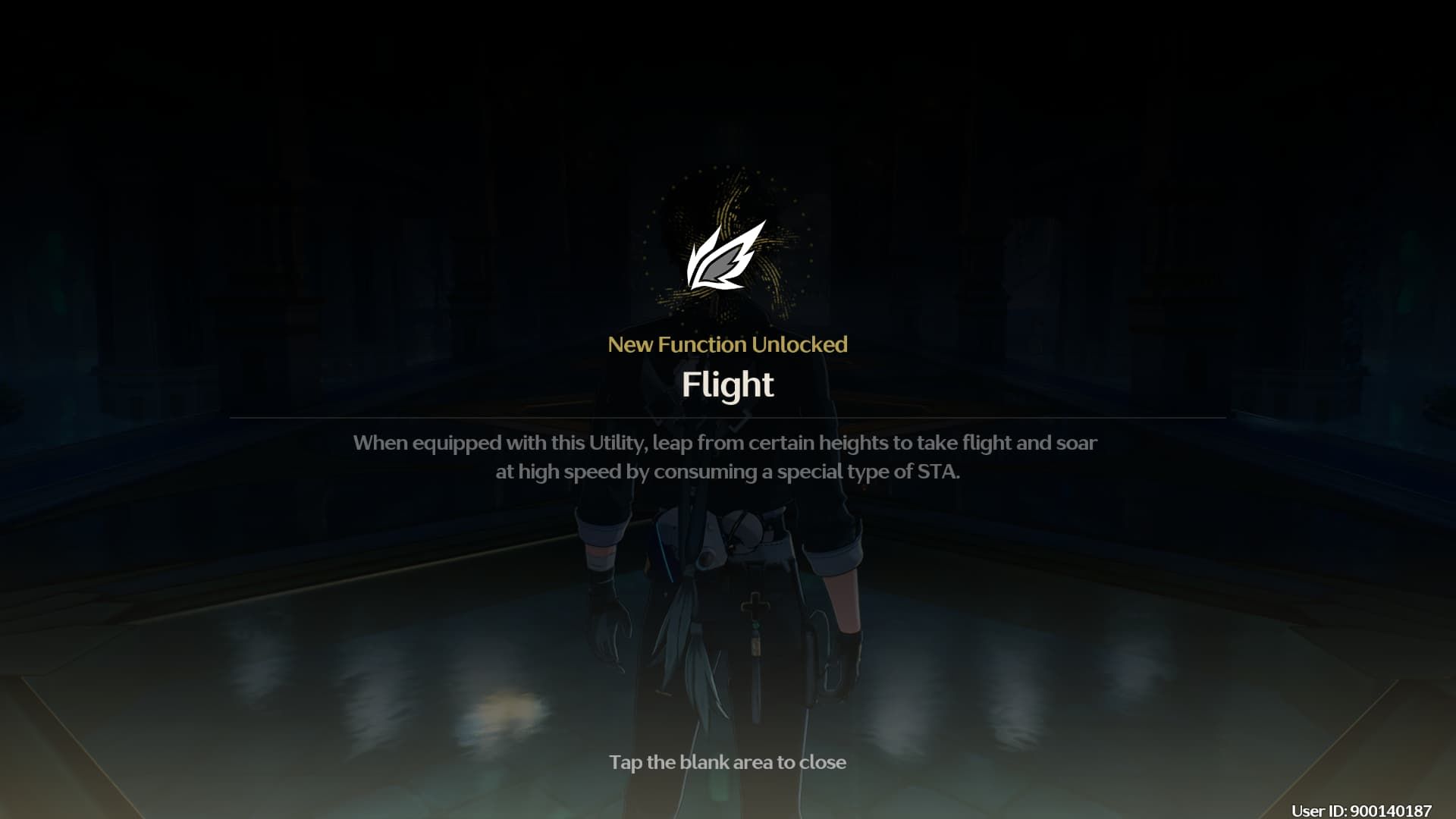 Description of WuWa's Flight mechanic