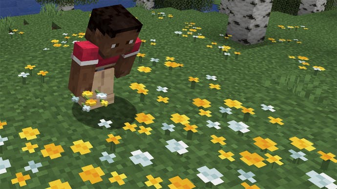 A Minecraft screenshot showing a player looking down at wildflowers in a meadow.