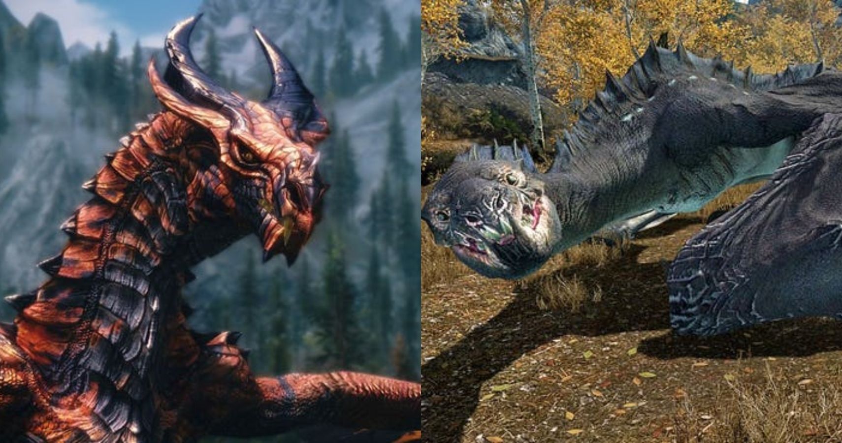 Skyrim_ Every Dragon From Weakest To Most Powerful, Ranked Featured Image