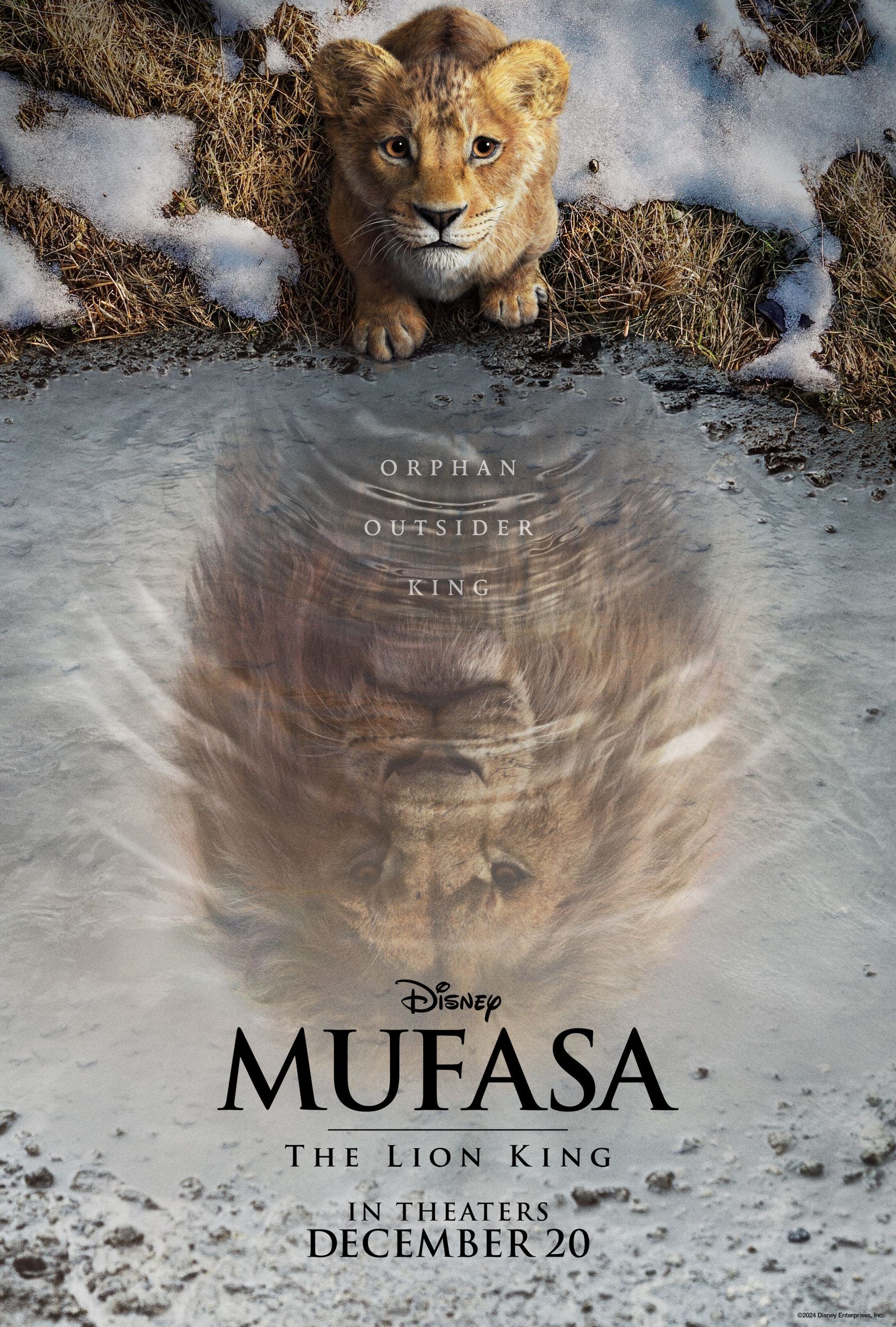 mufasa-the-lion-king-showing-a-young-simba-looking-into-a-reflection-of-an-adult-simba.jpeg