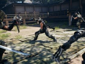 Ninja Gaiden 2 Black Gets New Update