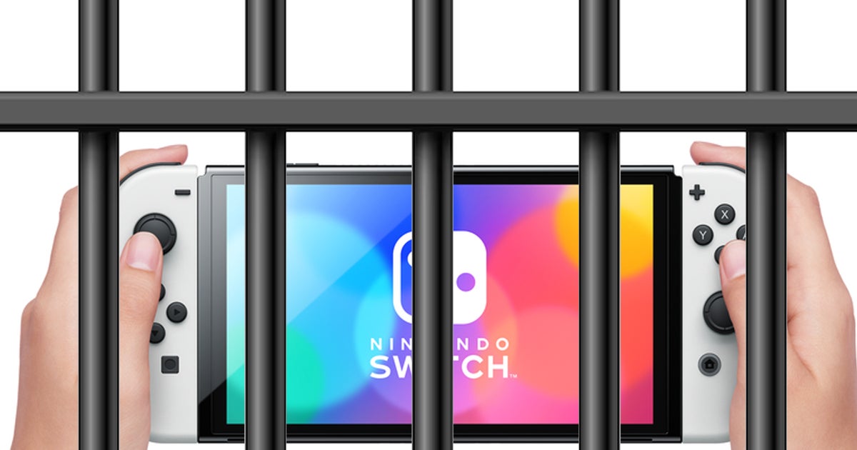 Nintendo Switch modder arrested in Japan, setting new harsher precedent