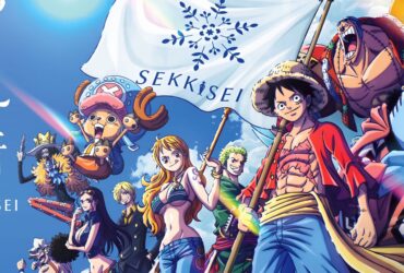 One Piece Announces New Collaboration With Sekkisei