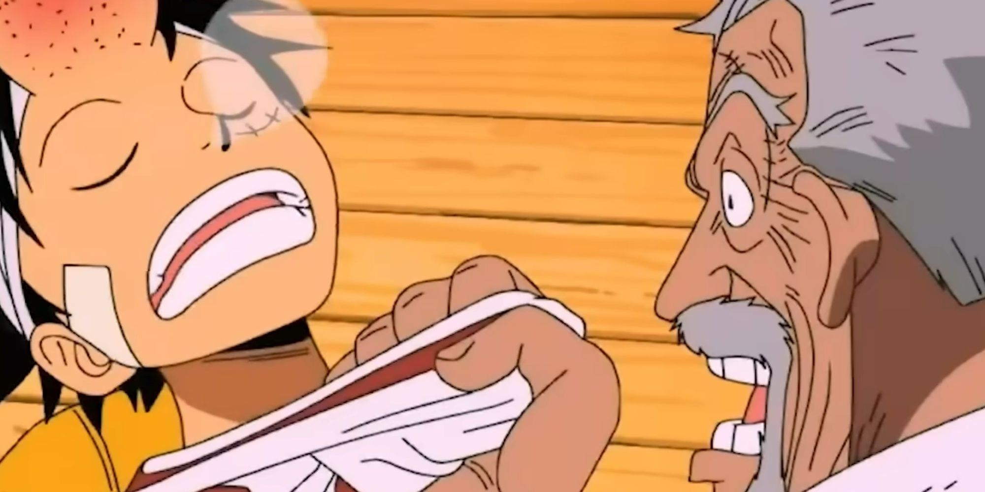 Luffy and Garp