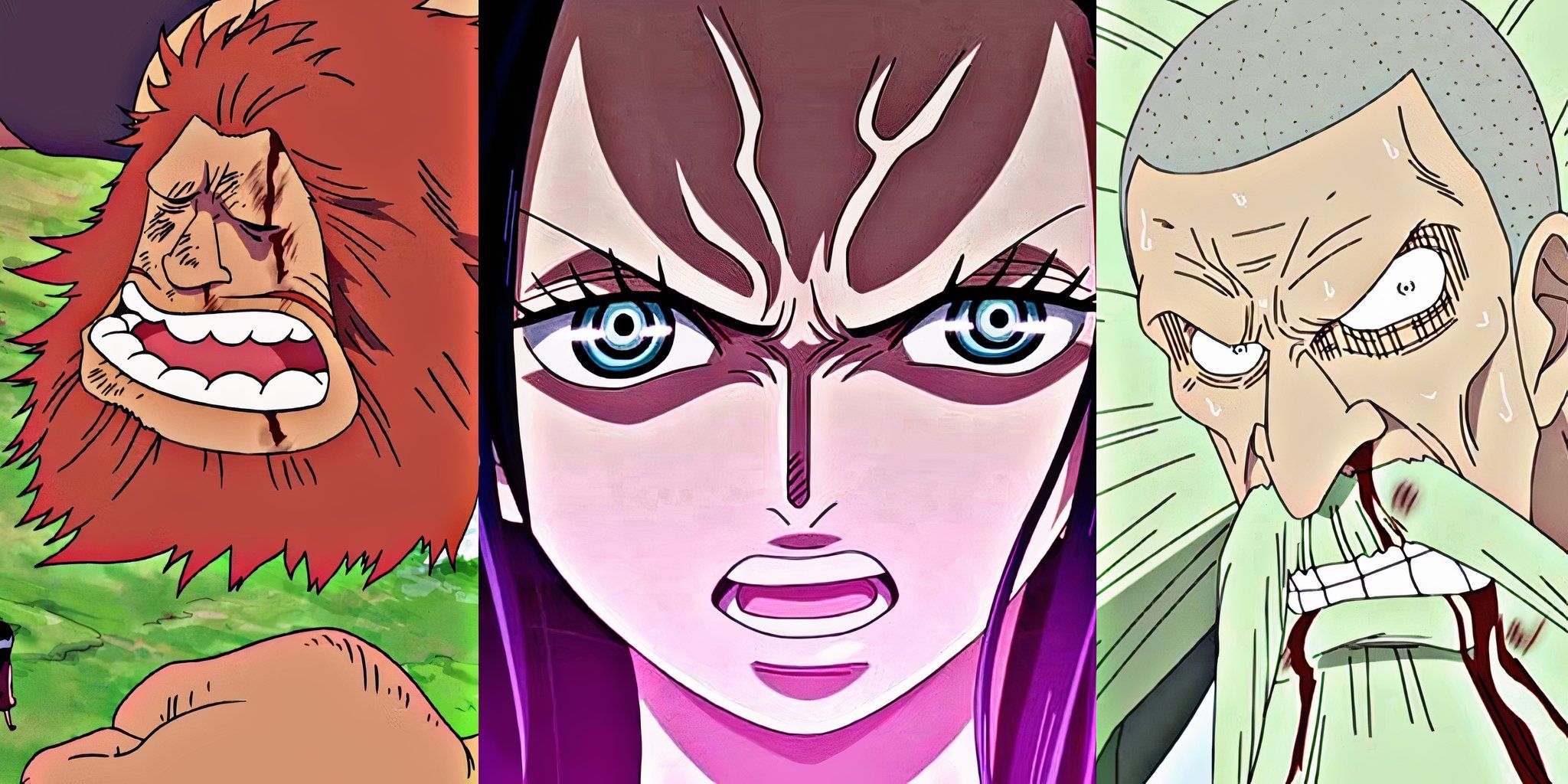 nico robin d family one piece