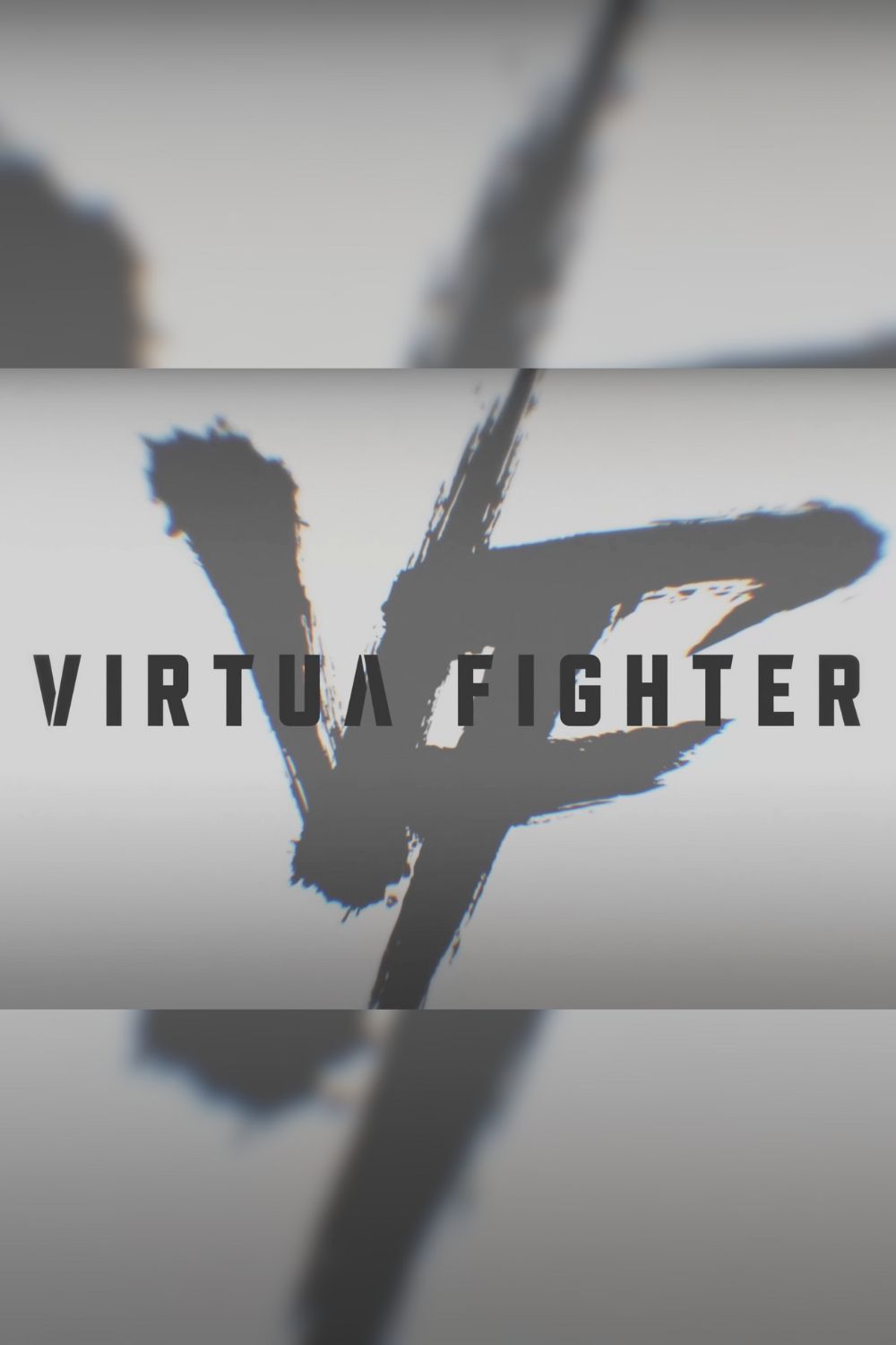 Virtua Fighter 6 video game cover art tag