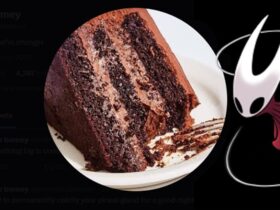 Silksong fans believe creator's Switch 2 hint points to April announcement - and it's all thanks to a slice of cake