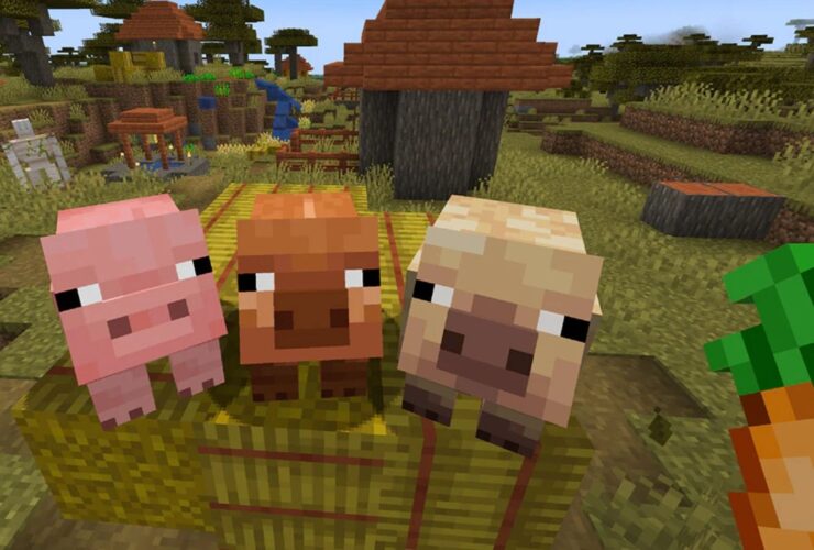 Some Minecraft Players Want Recent Bug Fixes Reversed