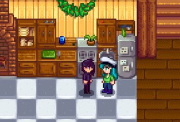 Stardew Valley Discovers Surprising Gift Interaction with Sebastian