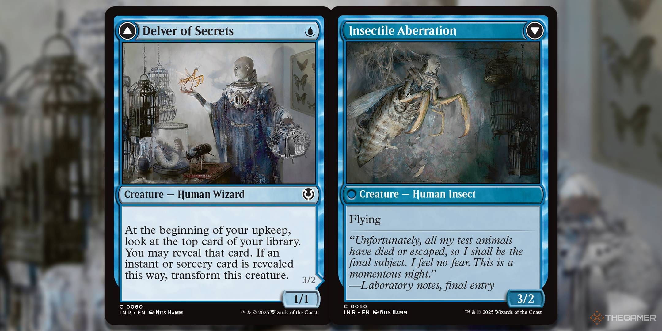 Image of Delver of Secrets card in Magic: The Gathering.