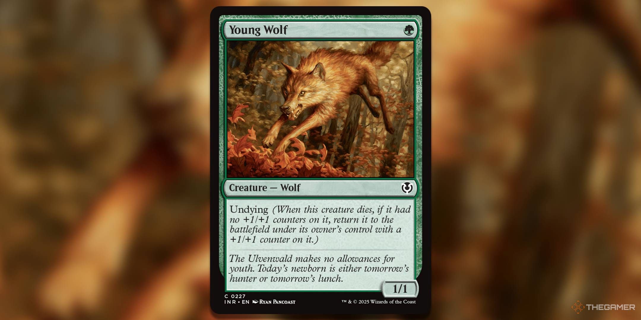 Image of Young Wolf card in Magic: The Gathering.