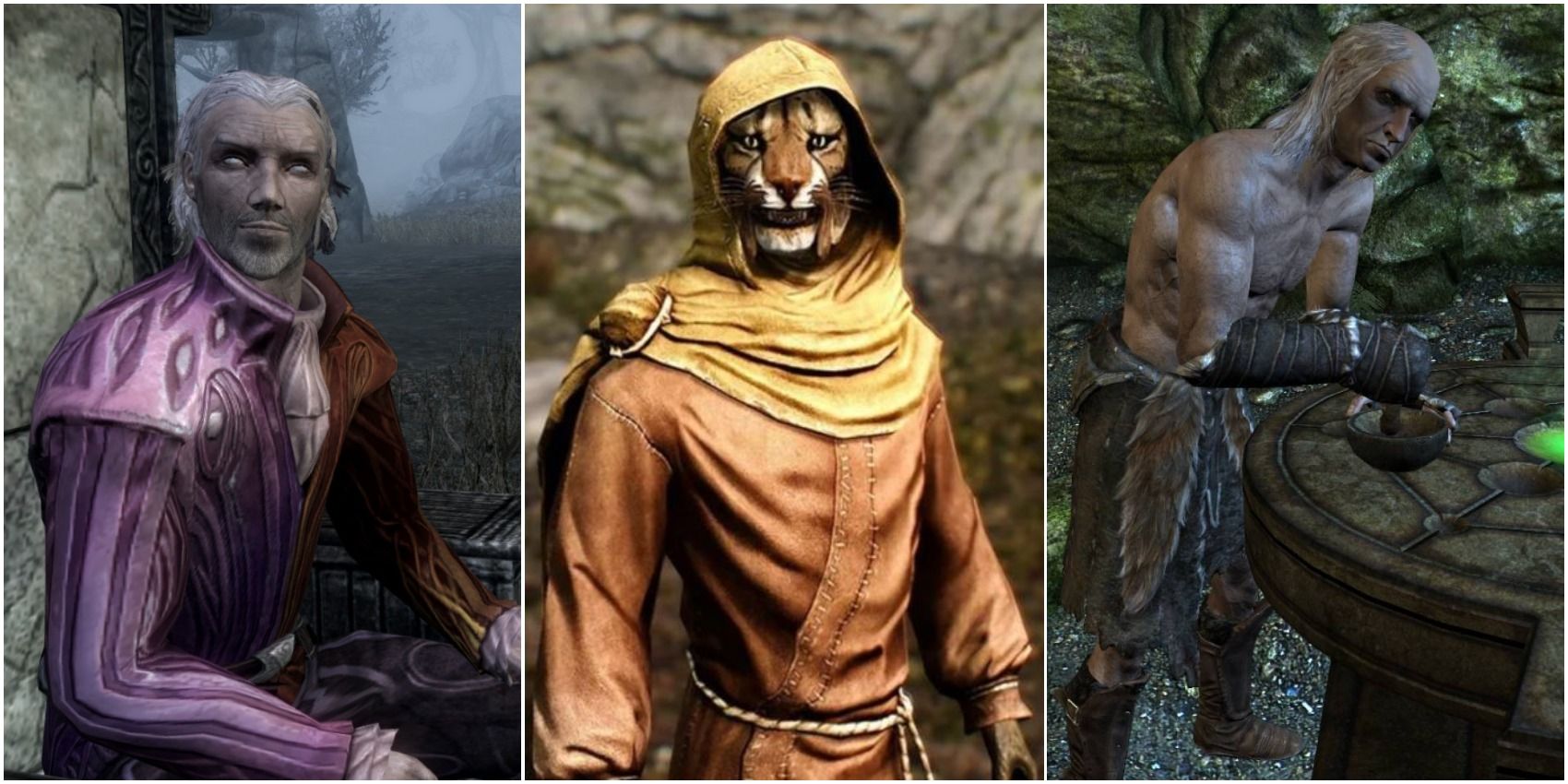 Skyrim Strangest and Funniest NPCs