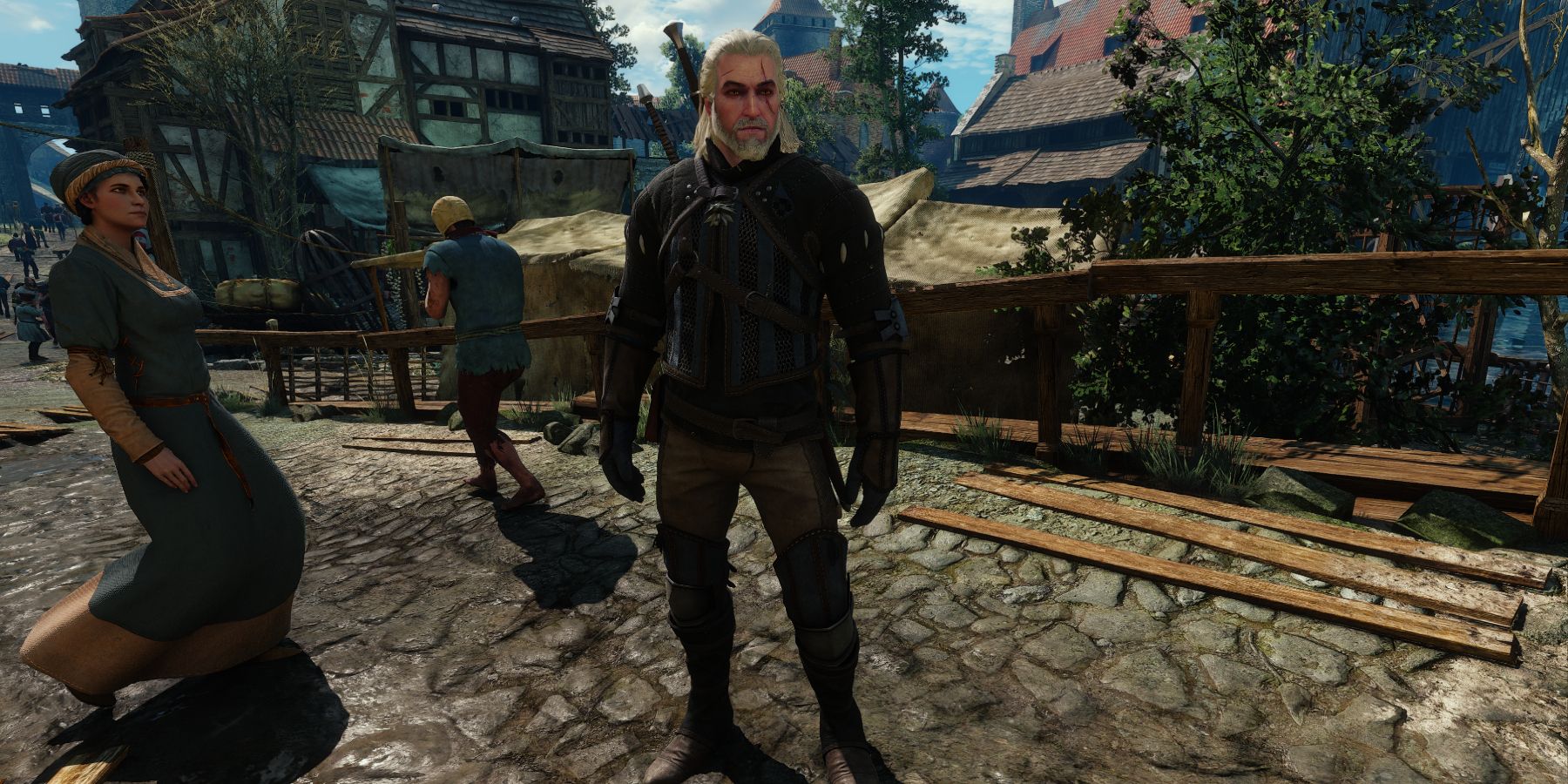 The Witcher 3 - Temerian Armor