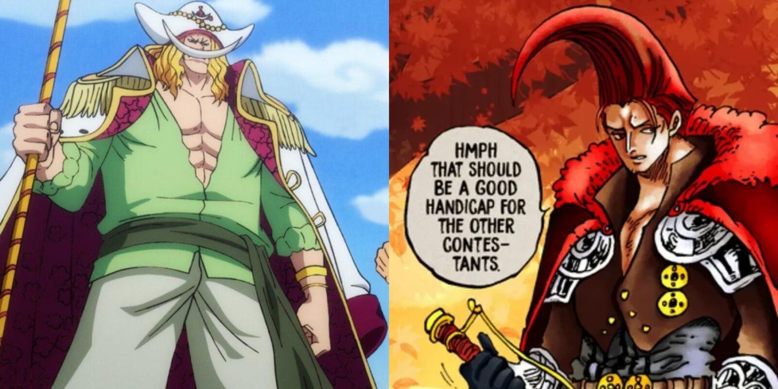 Whitebeard's Fight Against Garling, Explained