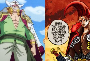 Whitebeard's Fight Against Garling, Explained