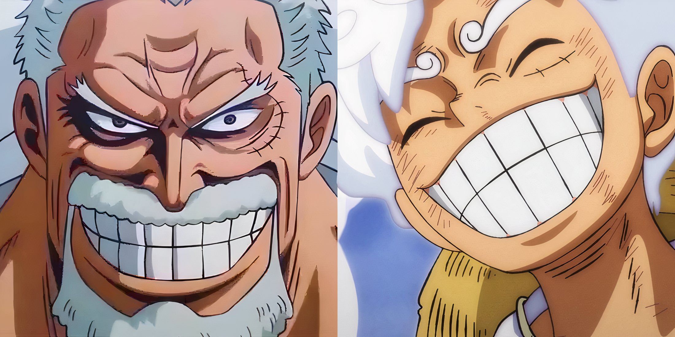 One Piece Luffy Garp Smile