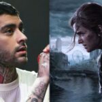 Zayn Malik Shows Off Jaw-Dropping Last of Us Birthday Cake