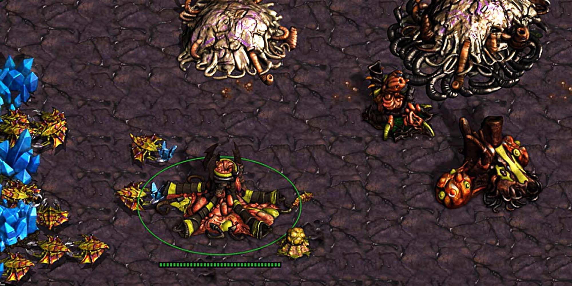 Zerg Creep Starcraft Remastered