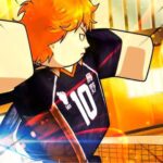 Haikyuu Legends codes February 2025