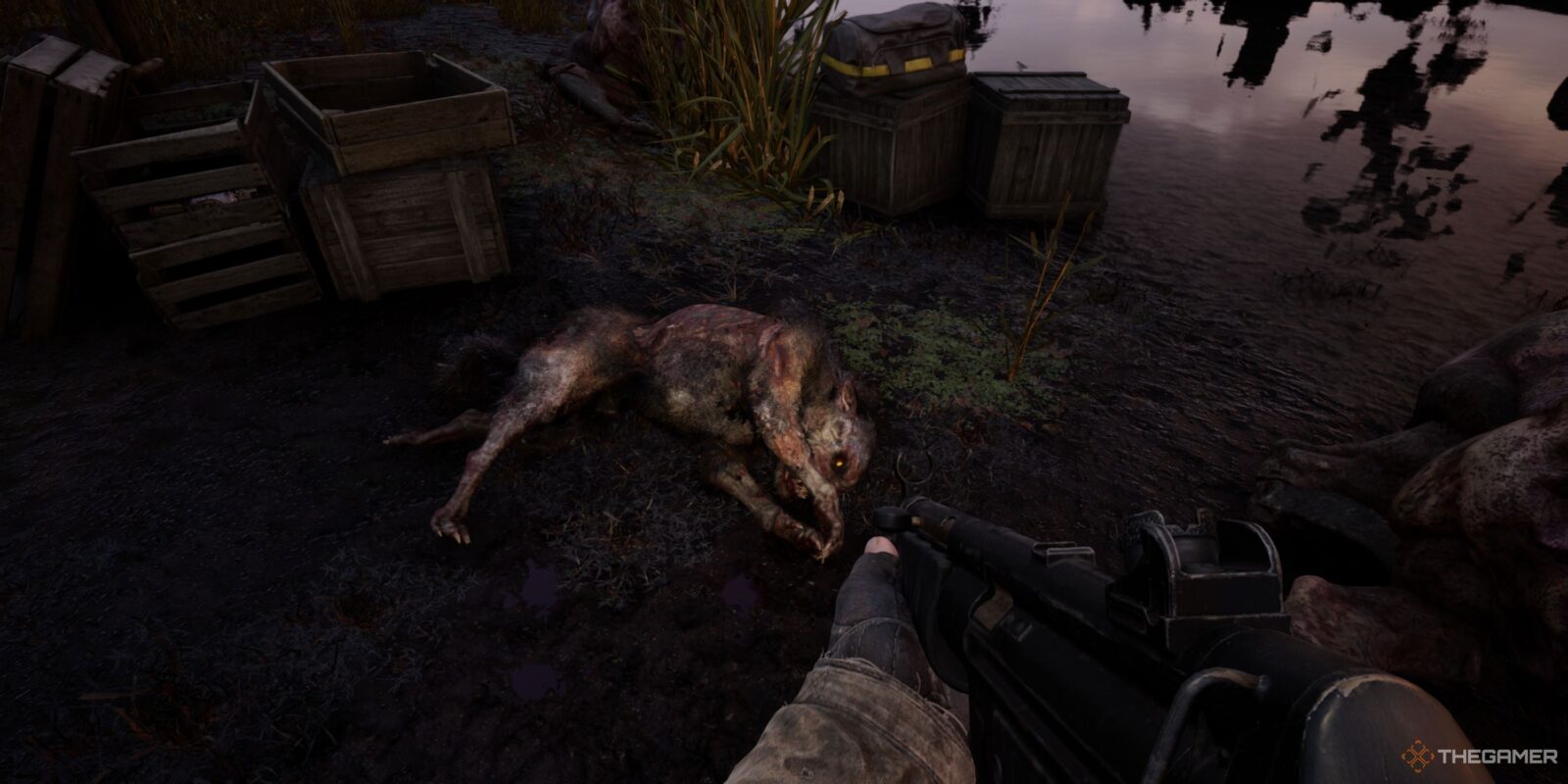 How To Defeat Psy Dogs In Stalker 2: Heart Of Chornobyl