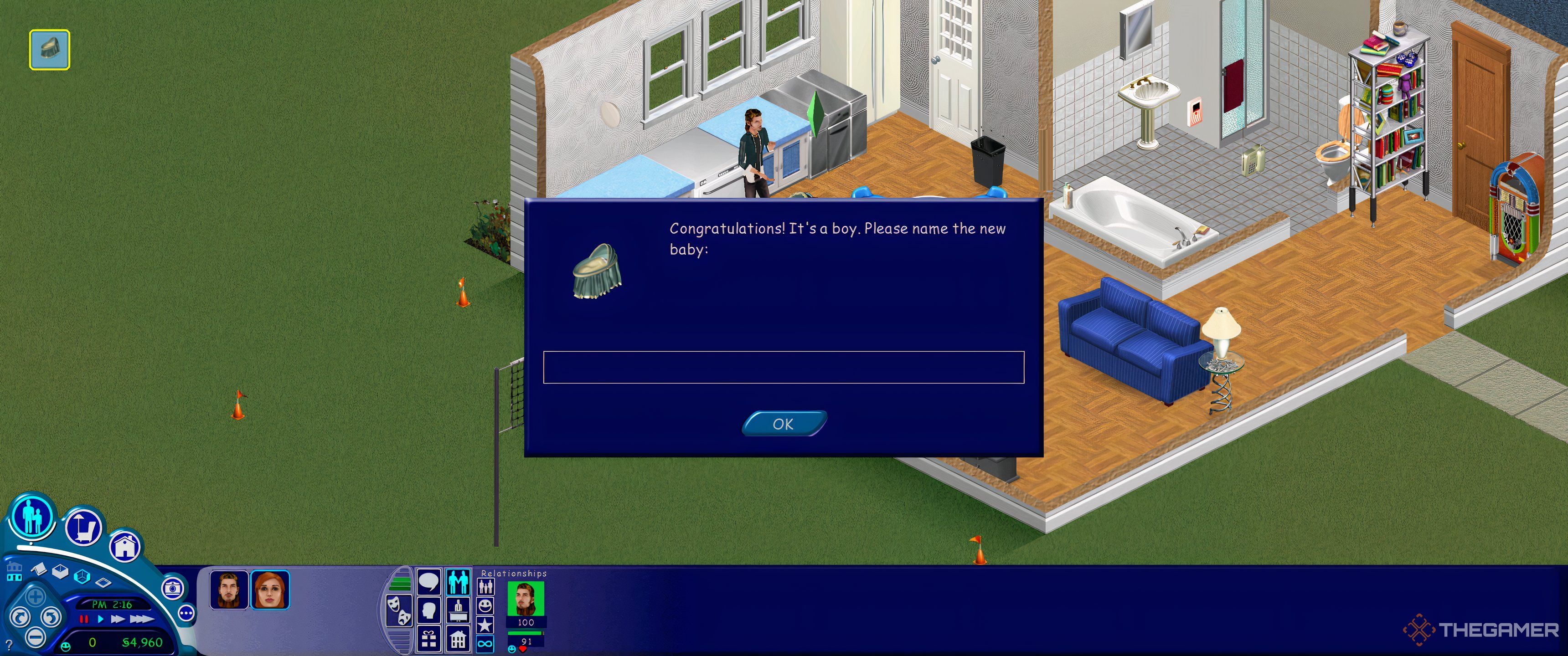 The sims 1 name your baby dialogue box.