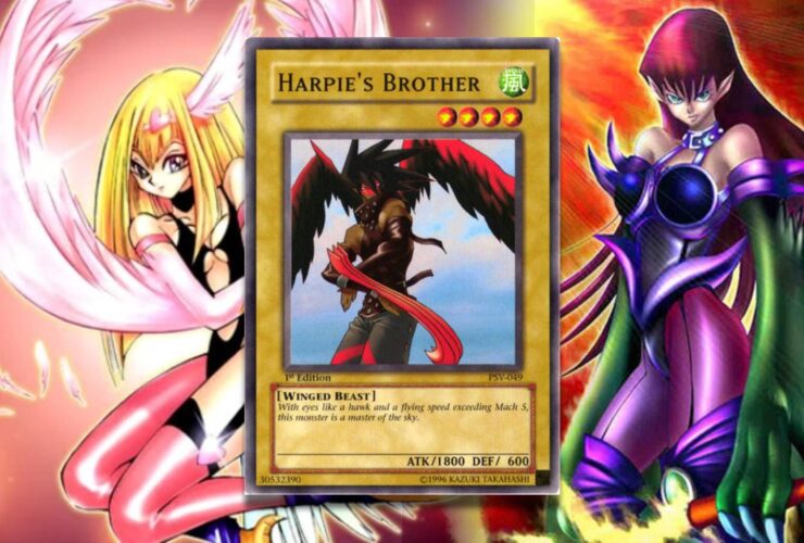 Why Was Harpie's Brother Renamed Sky Scout?