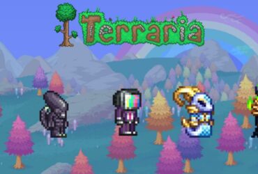 Terraria: Best Cosmetic Items