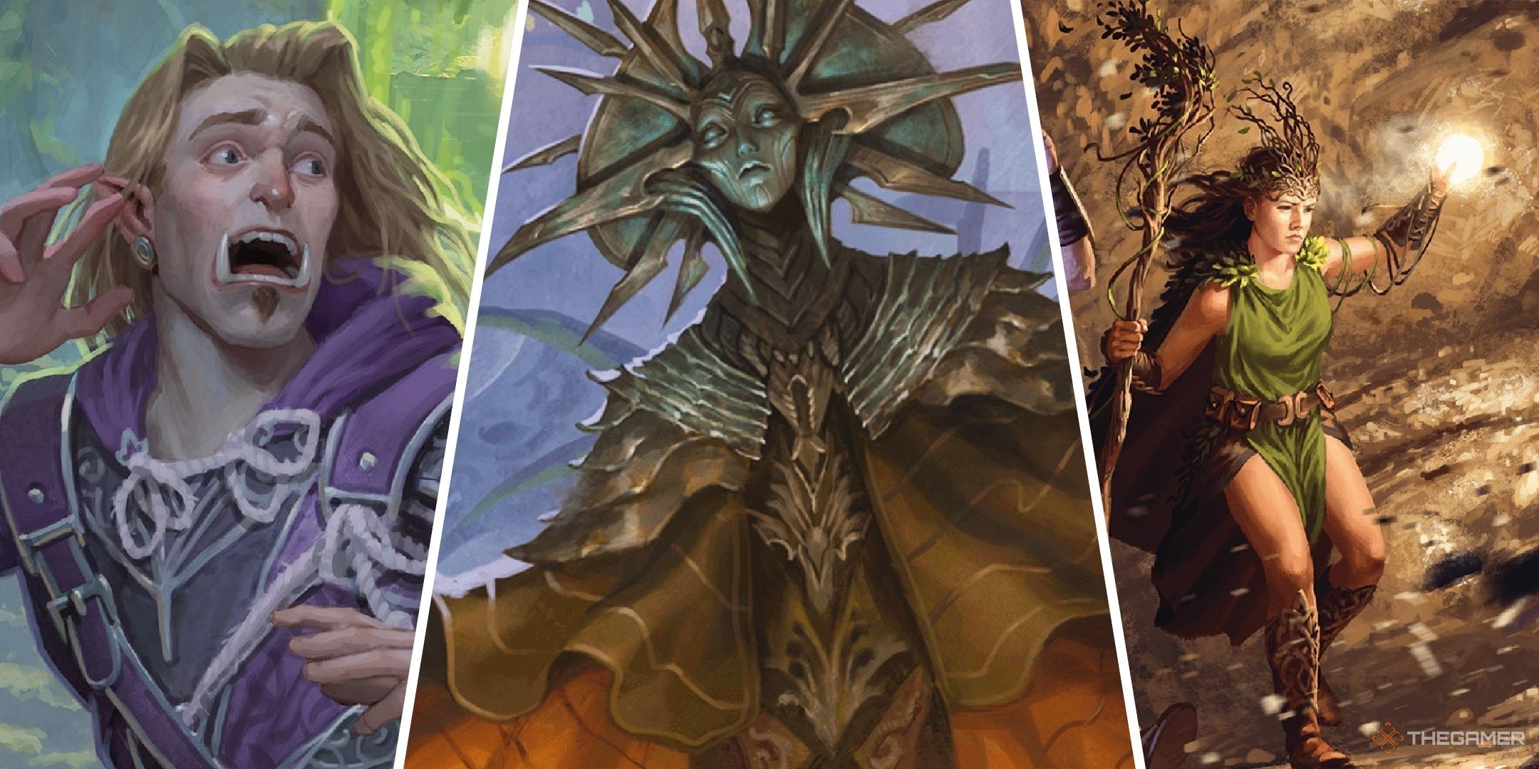 Dungeons & Dragons image showing a scared adventurer, the Lady of Pain, and a druid.