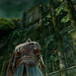 FromSoftware Should Look to Dark Souls 2 for its Best Feature