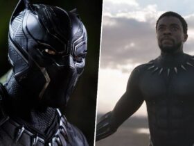 Marvel producer shuts down Black Panther 3's T'Challa recast rumors: "Everything you read online is not true"